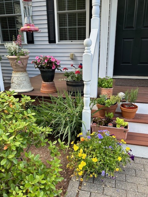 Porch plants - more will be added as summer progresses